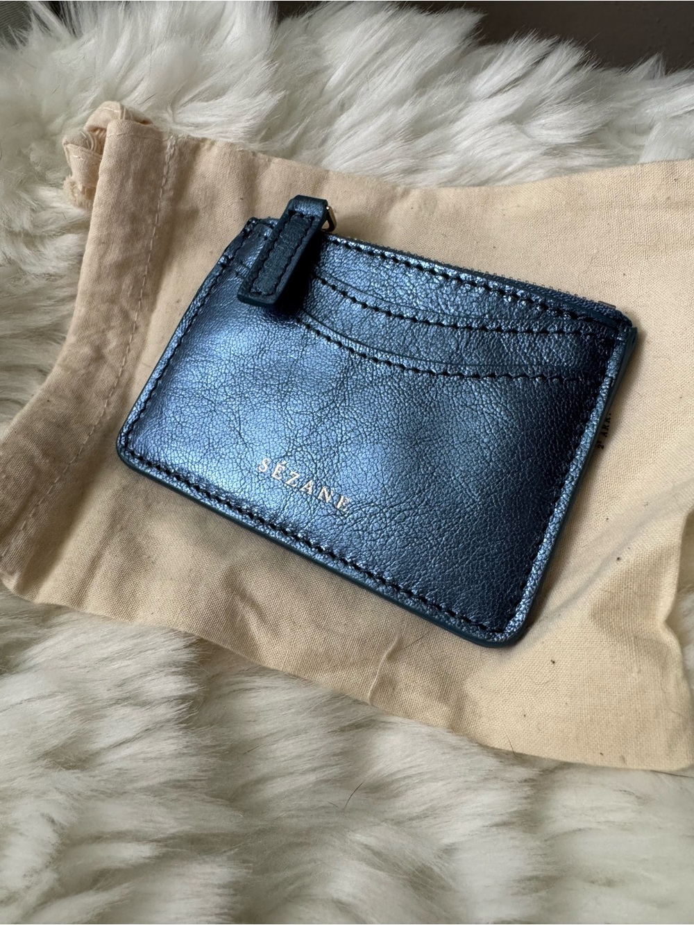 Sezane Alfredo Coin Case in Metallic Blue